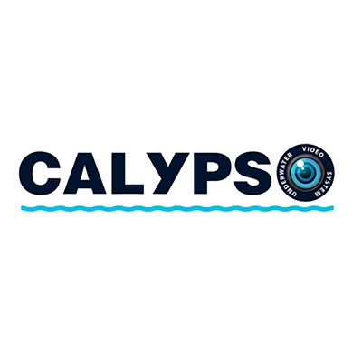 Ремонт эхолотов Calypso (Калупсо)