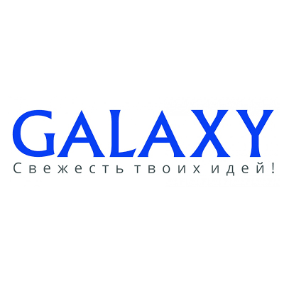 Ремонт отпаривателей и пароочистителей Galaxy (Гэлакси)