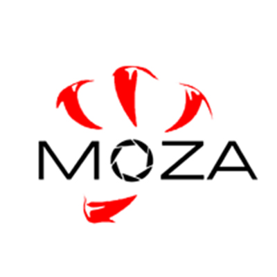 Ремонт стедикамов Moza ( Моза)