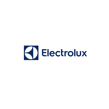 Ремонт утюгов-парогенераторов Electrolux (Электролюкс)