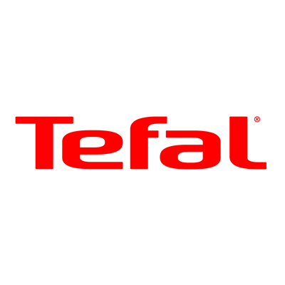 Ремонт отпаривателей и пароочистителей Tefal (Тефаль)