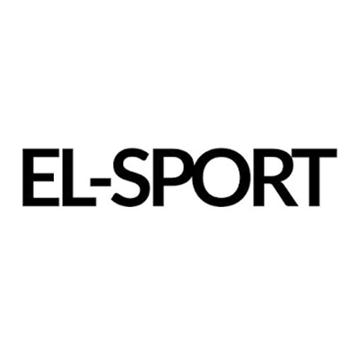 Ремонт Электро Скейтбордов El Sport (Элспорт)