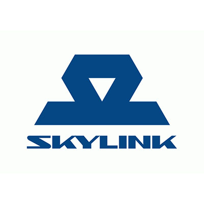 Ремонт роутера Skylink (Скайлинк)